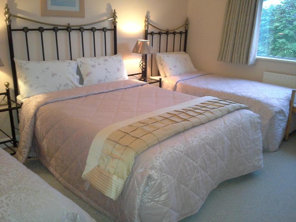 Fern Rock Bed And Breakfast Dromin Rum bild