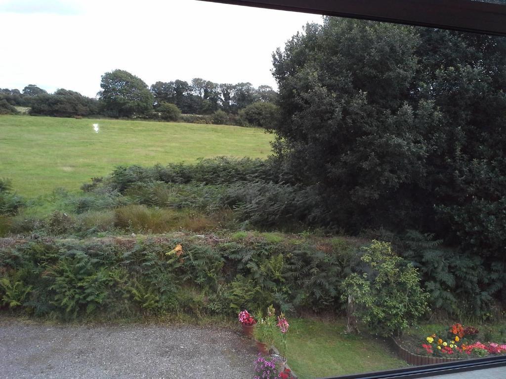 Fern Rock Bed And Breakfast Dromin Rum bild