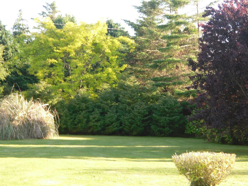 Fern Rock Bed And Breakfast Dromin Exteriör bild